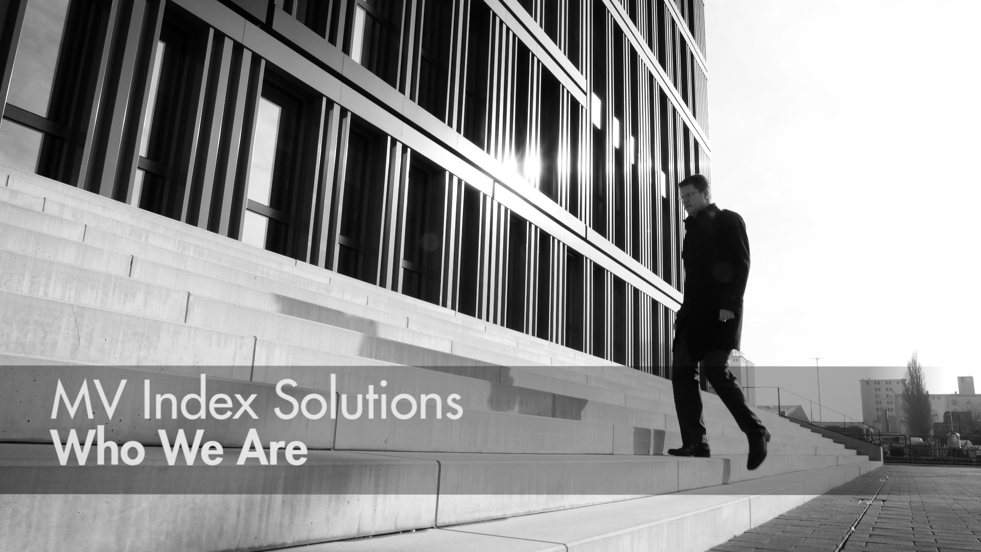 MV Index Solutions - Who We Are